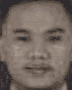 Jefri Aldison