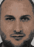 Mitja Sekulić